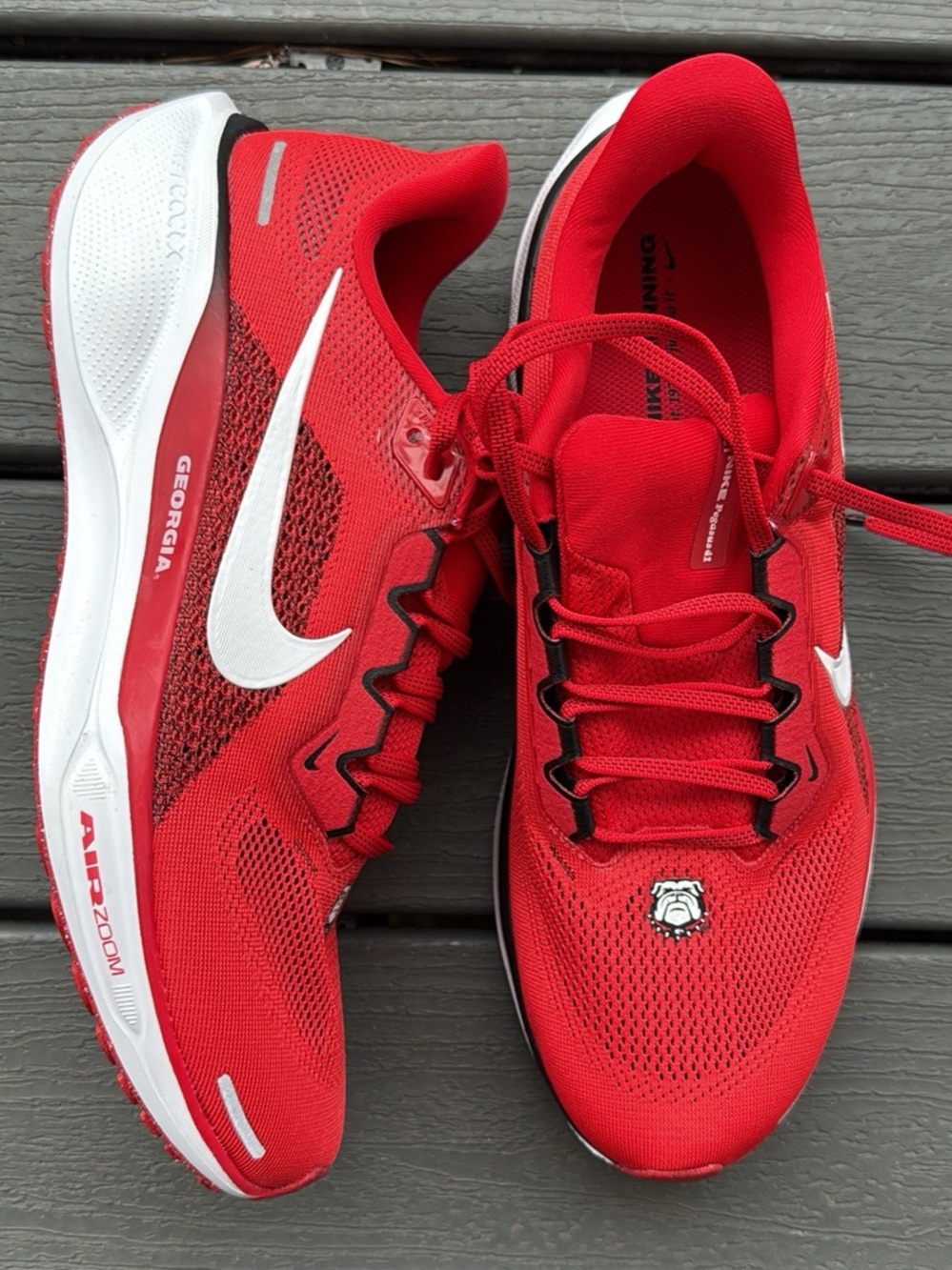Nike Air Zoom Pegasus 41 Georgia Bulldogs Red Shoes